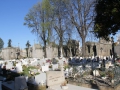 0122-Porto-Cimeterio-de-Agramonte.JPG