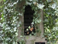0189-Prague-cimetière-Olšany