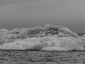 IMG_7046