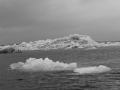 IMG_7056