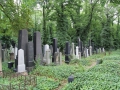 0203-Prague-cimetière-Olšany