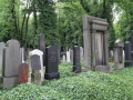 0204-Prague-cimetière-Olšany