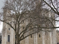 0038-Tour-Londres.JPG