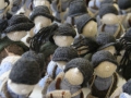 IMG_0013